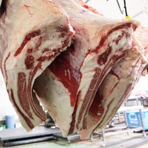 Beef Meat Short Rib