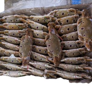 CRAB THREE SPOTTED