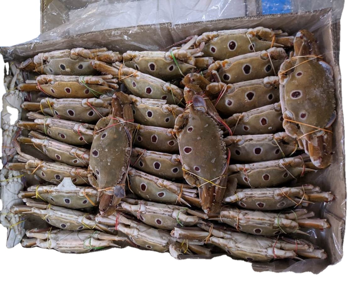 CRAB THREE SPOTTED