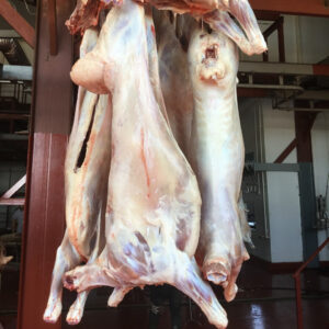 Chilled mutton and lamb