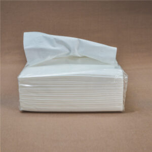 Facial Tissue Soft Pack
