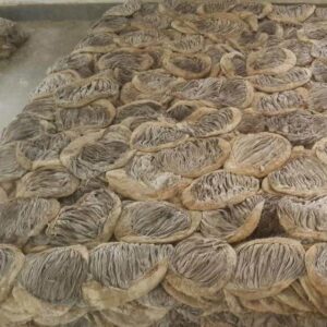 Frozen & Dry salted omasum