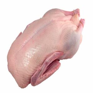Frozen Duck Meat