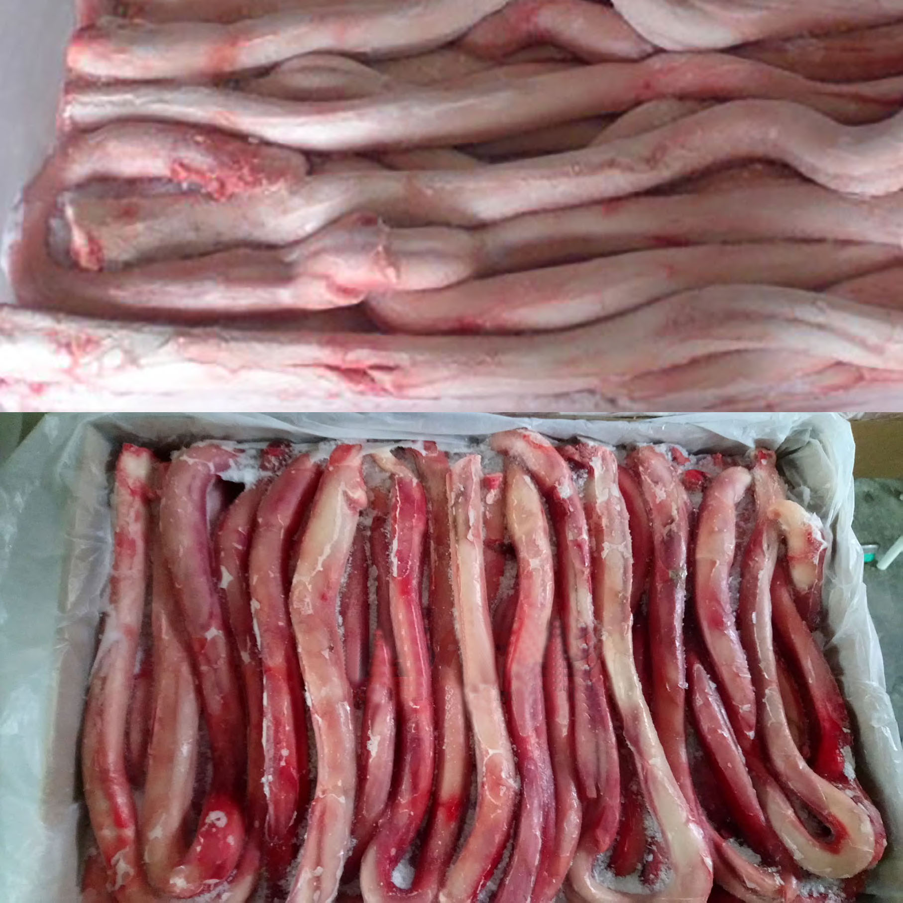Frozen beef pizzles