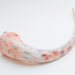 Frozen beef tail, Cow tails, Beef offals