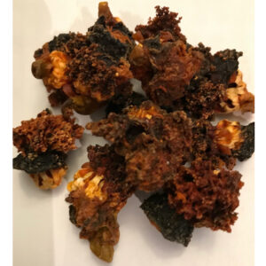 Canada dried sea cucumber flower