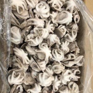 Frozen Iqf Baby Octopus