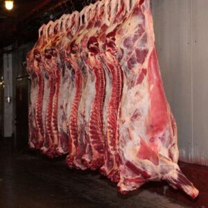 HALAL TRIMMED FROZEN BEEF
