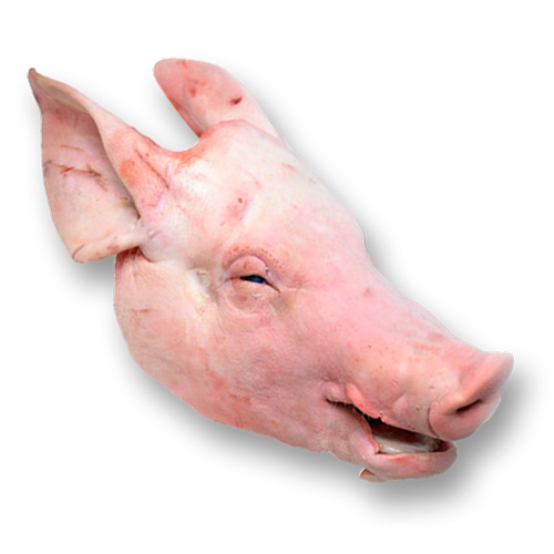 Pork Head with ears frozen