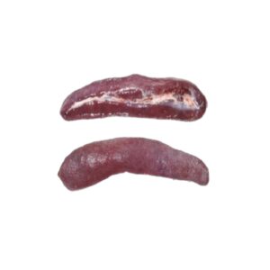 Pork Spleen