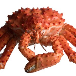 Round King Crab