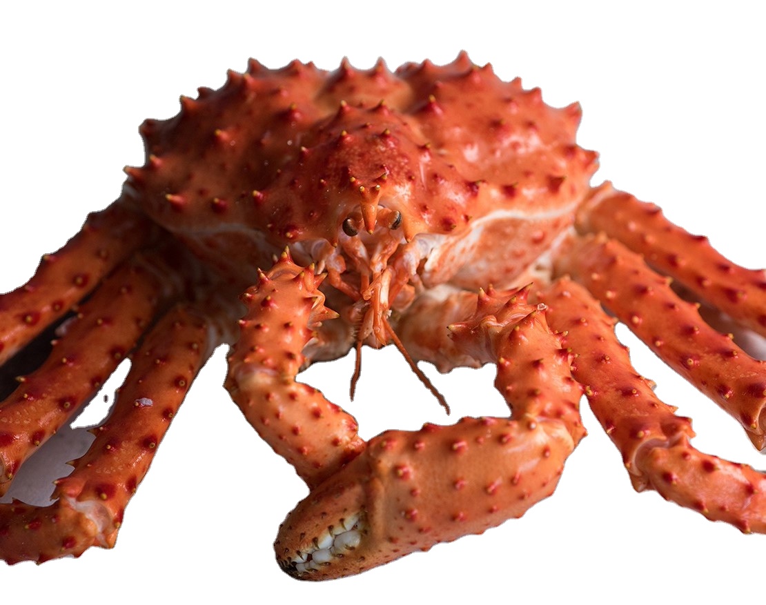 Round King Crab