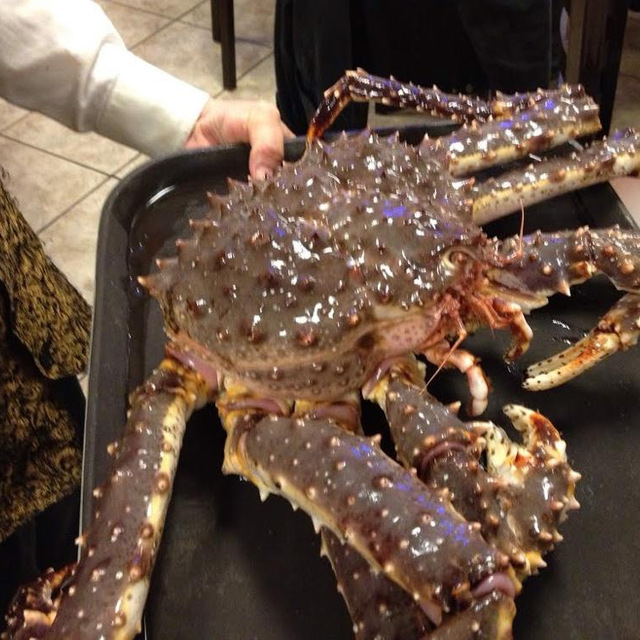 ALIVE KING CRAB