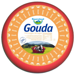 Gouda Cheese