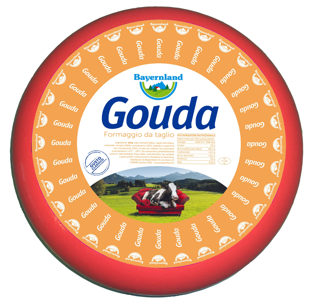 Gouda Cheese