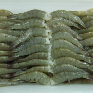 FROZEN VANNAMEI SHRIMP