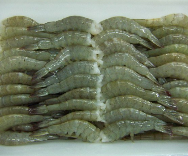 FROZEN VANNAMEI SHRIMP