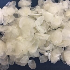 Tilapia fish scales