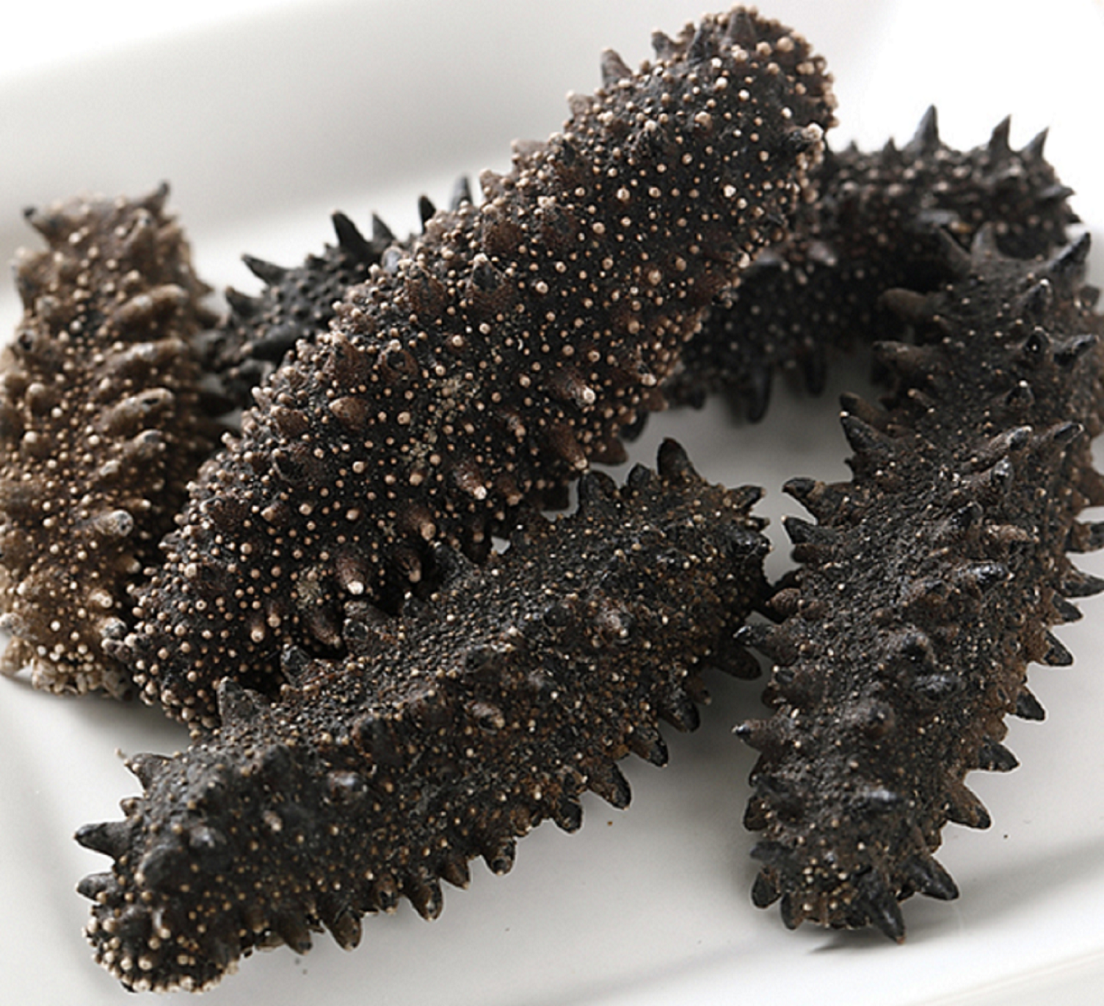 Dried Sea Cucumber