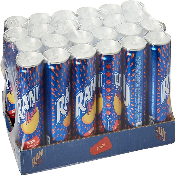 Rani Float Mango Fruit Drink
