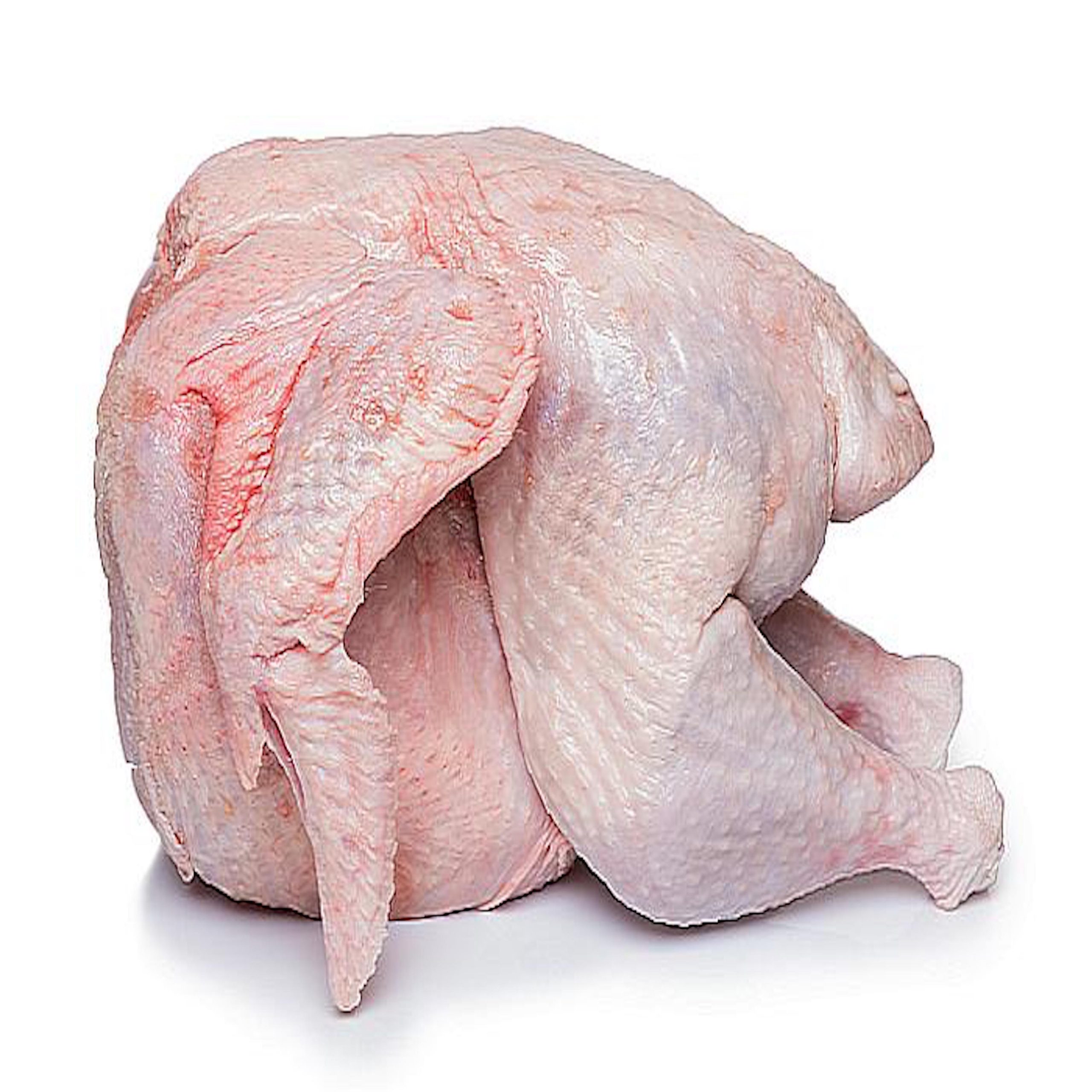 Whole Turkey meat