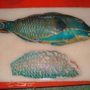 Frozen golden pompano fish